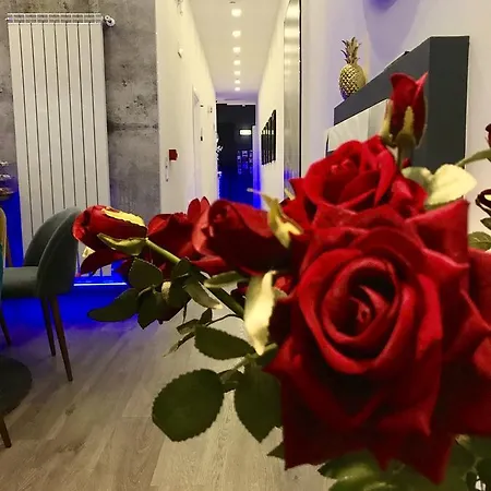 Bourbon House فندق مبيت وإفطار