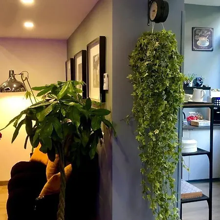 波旁之家度假屋 4* 那不勒斯