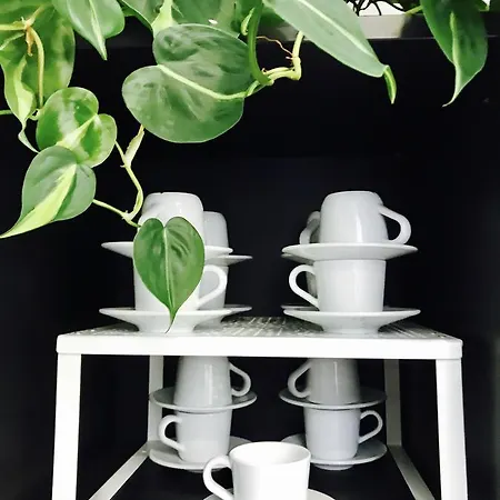 波旁之家度假屋 4*