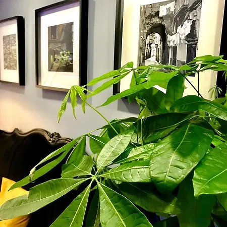 波旁之家度假屋 住宿加早餐酒店 4*